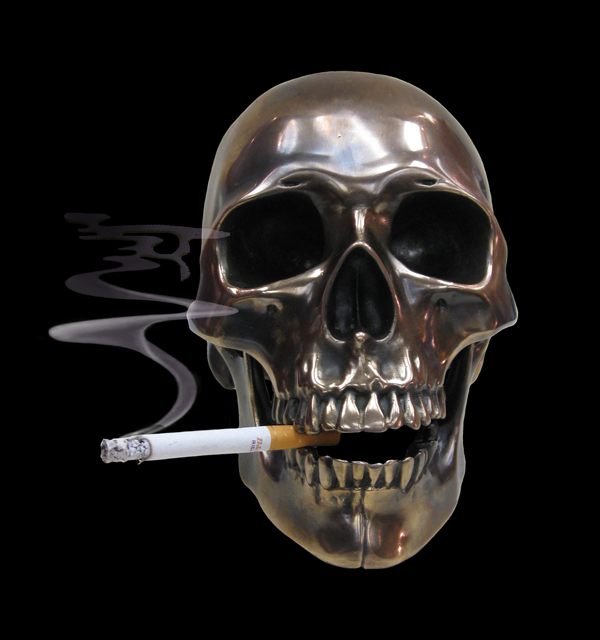 smokin smokin Bronze Skull